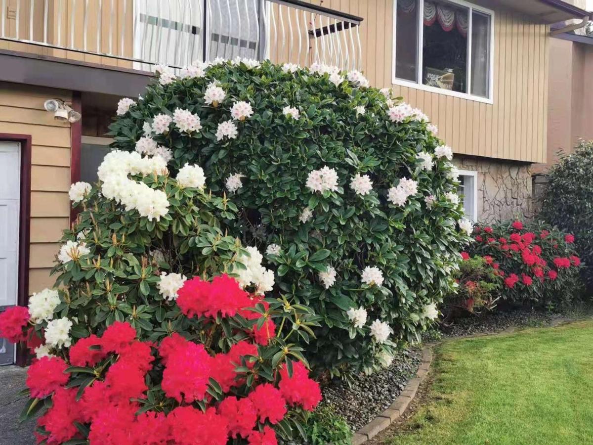Richmond Vancouver Airport Comfy Home Zewnętrze zdjęcie